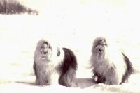 Les plaisirs de la neige